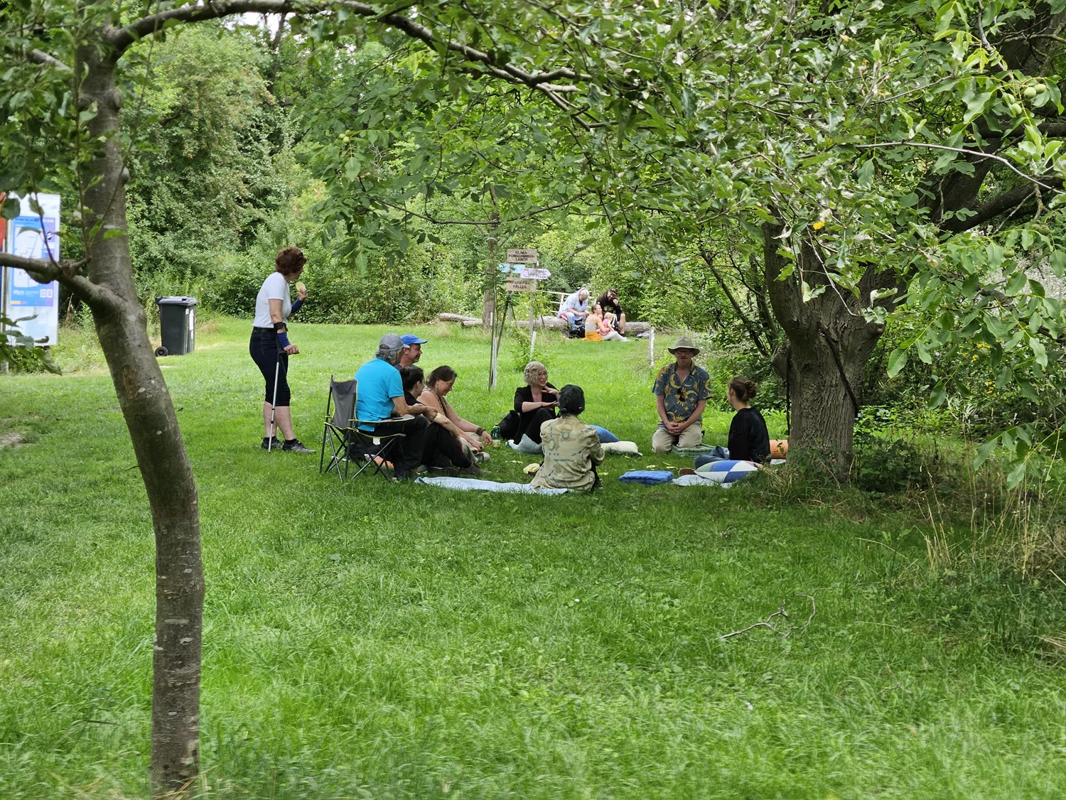 Eine Gruppe sitzt im Kreis auf einer Wiese unter Bäumen